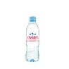 EVIAN 0.5L