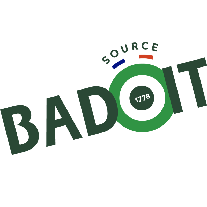 Badoit 0.5L